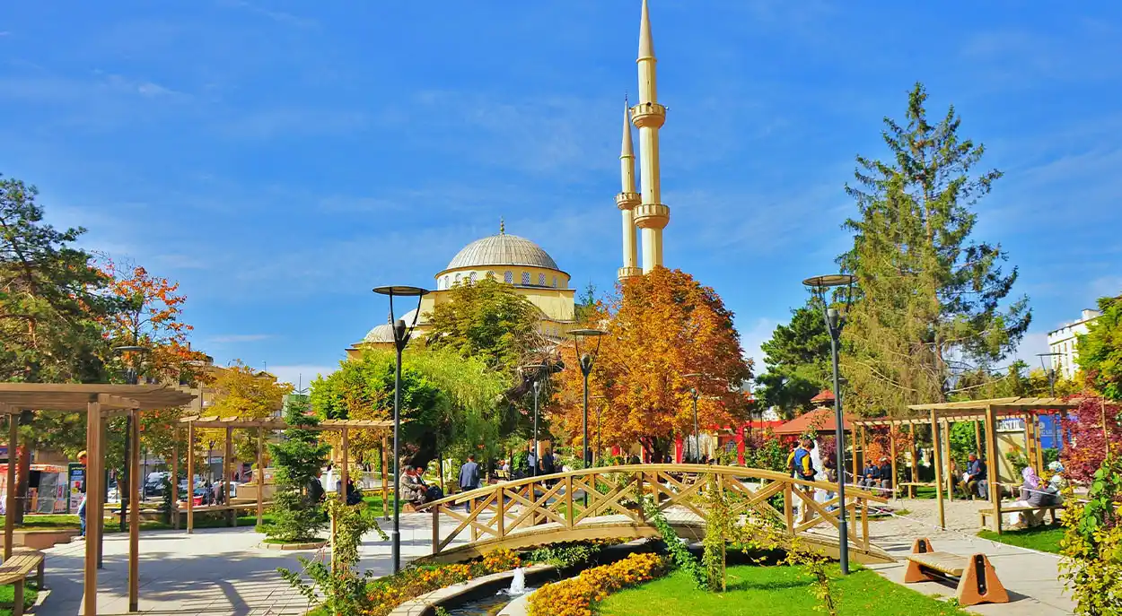 تصویر وان ترکیه