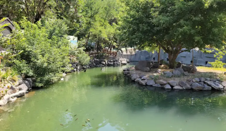 تصویر ارمنستان